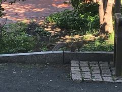 -美国独立纪念馆