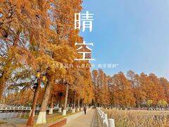 -东湖听涛景区