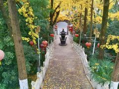 -九华山风景区