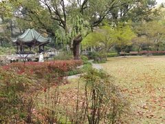 -申粤轩酒楼·三十年粤菜经典(丁香花园店)