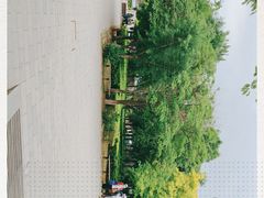 -杨柳青庄园