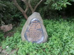 -普陀山风景名胜区-千步大沙