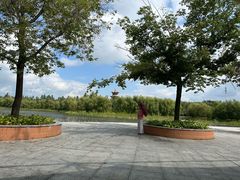 -绥化市森林植物园