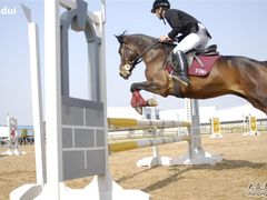 -松声马术俱乐部