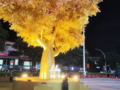 -中山利和希尔顿酒店