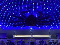 -蟹之国·精品蟹料理(极地店)