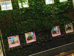 -西沃古尔·拉姆古兰爵士国际机场