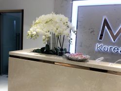 -MIVI野生眉纹绣纹眉