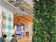-Green Option(官舍店)