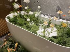 -小仙女采耳·按摩·SPA(深圳旗舰店)