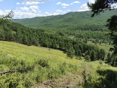 -莫尔道嘎国家森林公园