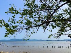 -深圳湾公园(南山区)
