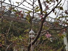 -狐尾山公园