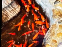 -一桶江山餐厅(松北店)