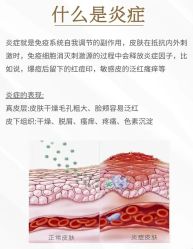 点击看大图 -玛莲朵·海菲秀冰珀科