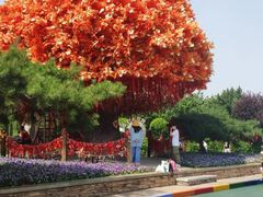 -沈阳方特欢乐世界