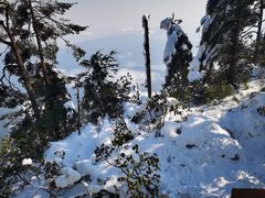 -瓦屋山景区