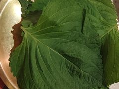 -炭之家齐齐哈尔大片烤肉·涮毛肚火锅·齐齐哈尔烤肉(中央大街店)