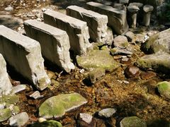 -牛背梁国家森林公园