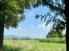 -良渚古城遗址公园