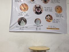 -柴迷FANS CLUB·柴犬狗咖·猫咖