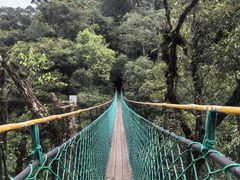 -云南屏边大围山国家公园