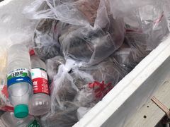 -卢记向塘酱鸭