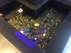 -碧露轩·大益茶体验馆(镇江路店)