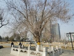 -西海子公园