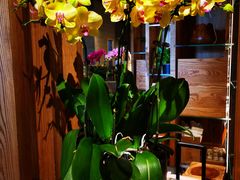 -园里火锅(仁和新城店)