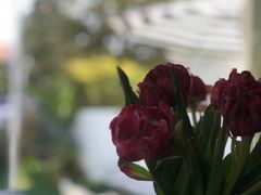 -Hello·生日蛋糕·下午茶·甜品台茶歇(瑞安东山店)