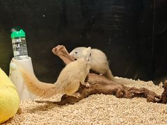 -太平洋海底世界