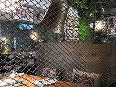 -阿里家·新疆烤肉酒場 by MIG