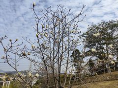 -中国移动南方基地