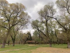 -长春市南湖公园