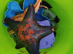 -东戴河风景区-止锚湾