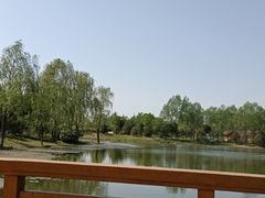 -东郊湿地公园
