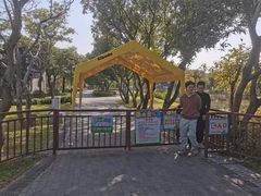 -王借岗森林公园