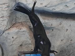 -泉州海丝野生动物世界