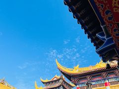 -东莞市大岭山森林公园
