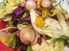 -金蝉食府(维吉奥广场店)