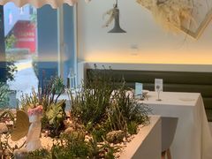 -春树下·树屋花房西餐厅(罍街AS1980店)