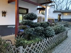 -花间酒庭院餐厅(谷山店)