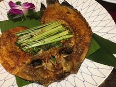 -紫滇源云南生态菜(丹凤街店)