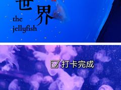 -南京海底世界