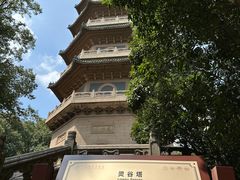 -灵谷景区