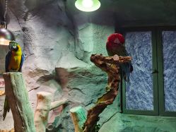 -Zoolung Zoolung动物主题公园(海信广场店)