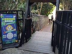 -亚龙湾热带天堂森林公园
