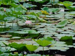 -烈士陵园(地铁站)