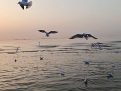 -金梦海湾浴场